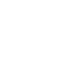 Auralithic